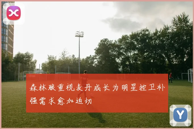 森林狼重视麦丹成长为明星控卫补强需求愈加迫切